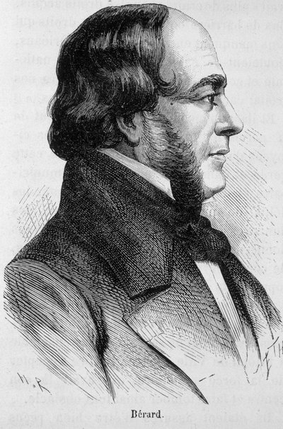 Bérard