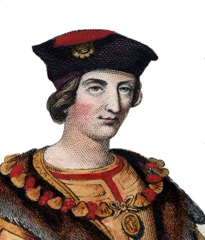Fransa Kralı VIII. Charles