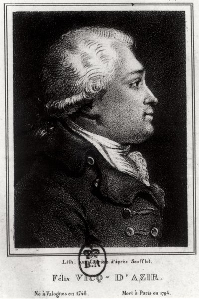 Felix Vicq dAzyr