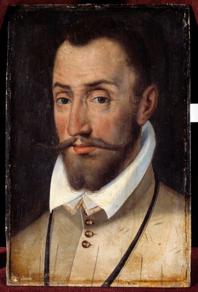 Francois de Coligny'nin Portresi, Andelot Lordu, Piyade Albay General (1521-1569) Fransız Okulu Resmi by French School