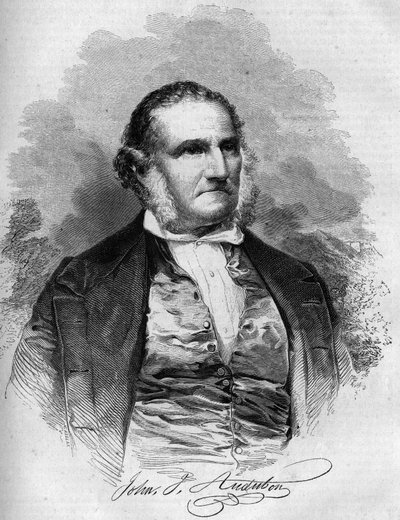 John James Audubon (1780-1851), Amerikalı kuş bilimci portresi. “” Le Magasin pitoresk” de gravür by French School