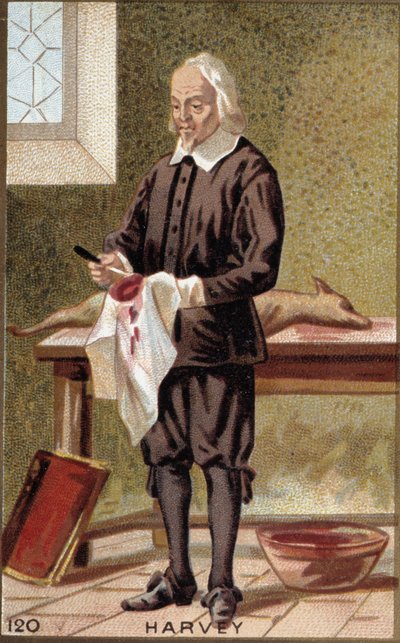 William Harvey (1578-1657), İngiliz doktor portresi. by French School
