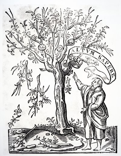 Robert Estienne