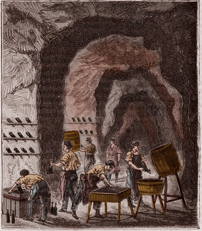 Şampanya üretimi - Fabrication du Champagne - Alexis Clerc