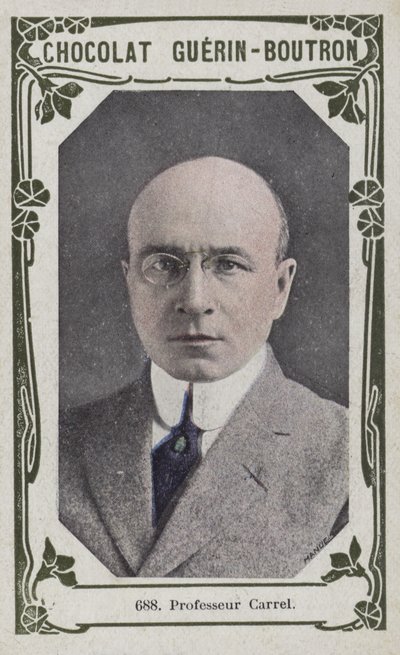 Profesör Carrel (renkli fotoğraf) by French School