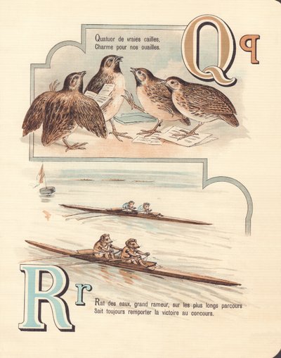 Q A: Bıldırcın, dörtlü, sıçan, yarış by French School