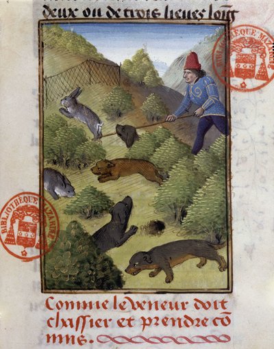 Tavşan Avı - “” Gaston Phoebus