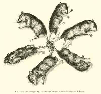 1683