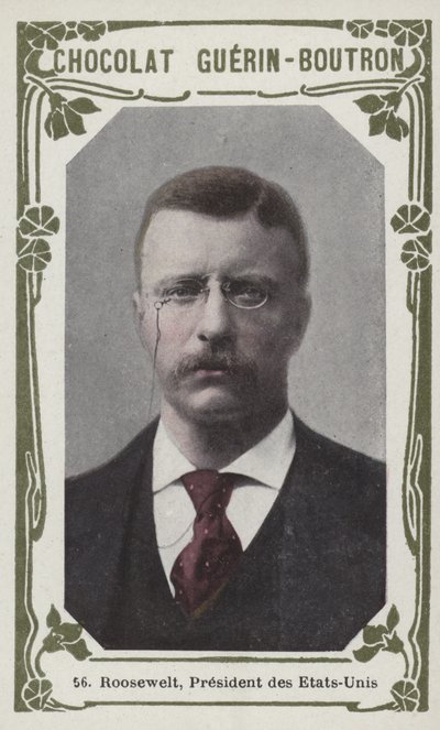 Roosevelt, Amerika Birleşik Devletleri Başkanı (renkli fotoğraf) by French School
