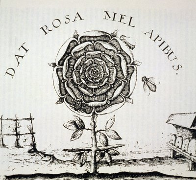 Gül Haç Alegorisi, Johann Theodore de Bry