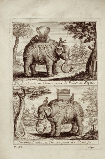 Kraliyet filleri, Voyage du Siam des Peres Jesuites