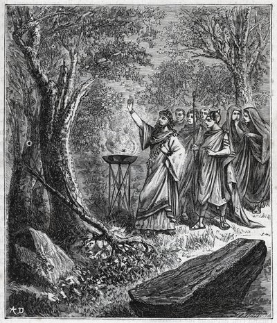 STRUFERTARI (antik Roma'da patlamış ağaçları arındırmak için şenlik) - Alexis Clerc tarafından “” Tüm popüler fizik ve kimyanın kavrayışına getirilen bilimler” deki gravür - 19. yüzyılın sonu. Özel koleksiyon. by French School