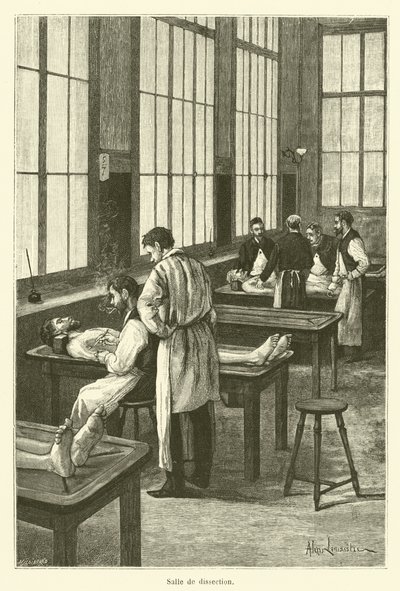 Diseksiyon (oyma) odası by French School