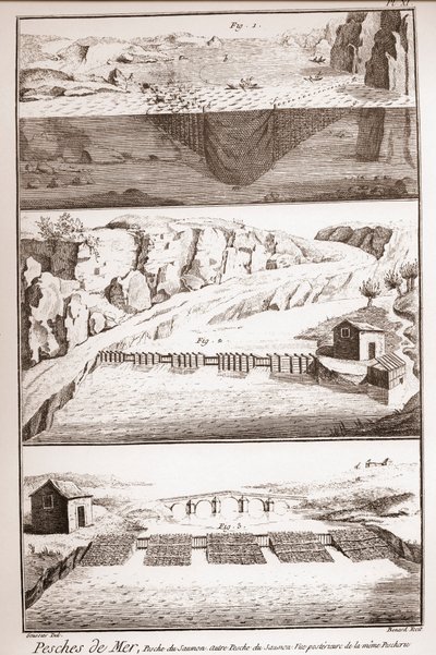 Somon balıkçılığı teknikleri - Denis Diderot (1713-1784) ve Jean d