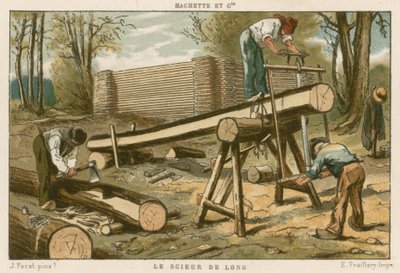 testereler by French School
