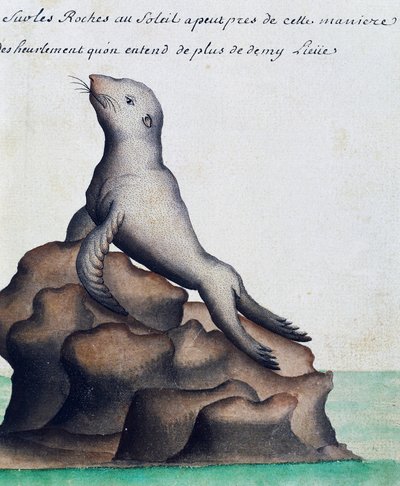 Mühür, Galapagos Adaları, Jacques Gouin de Beauchesne (1652-1730), Compagnie royale de la Mer du Sud