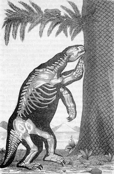 Megatherium iskeleti - Camille Flammarion tarafından “İnsan yaratılmadan önceki dünya” da by French School