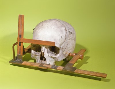 Paul Broca (1824-88) (ahşap ve bakır) tarafından yapılan yüz açıölçerindeki kafatası by French School