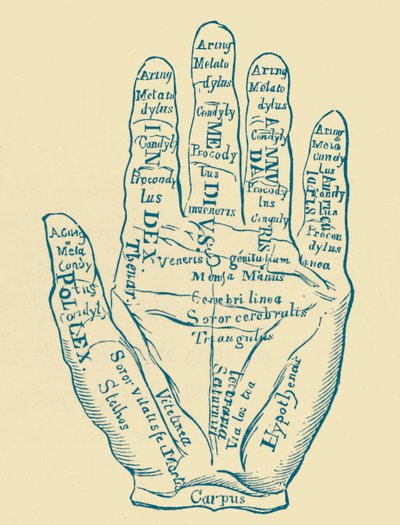 "Sol El Örneği" by French School