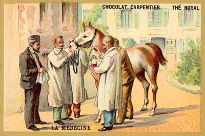 Bir attan kan alınması (chromolitho) by French School