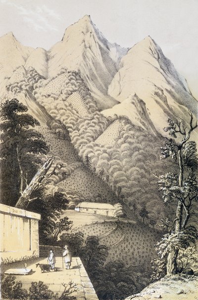 Çin