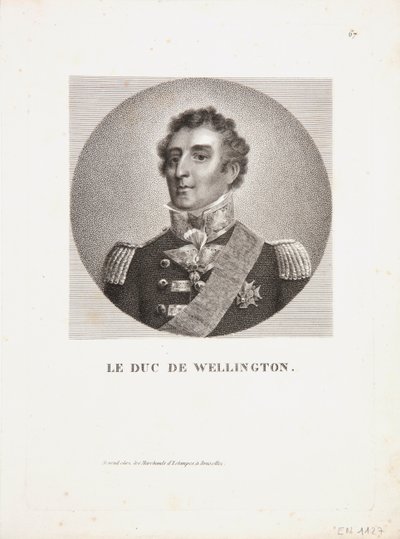 Wellington Dükü by French School