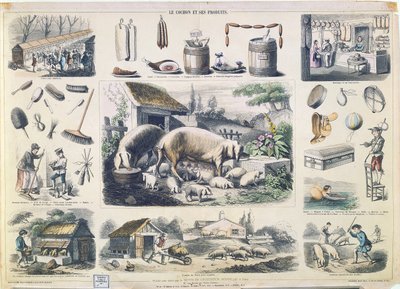 Domuz ve ürünleri by French School