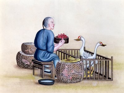 The Poultry Merchant, Pekin sokak aramaları üzerine bir kitaptan, c.1785 (kağıt üzerinde wc ve guaj) by French School