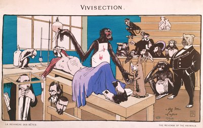 Hayvanların İntikamı, dirikesim karikatürü, 1909 by French School