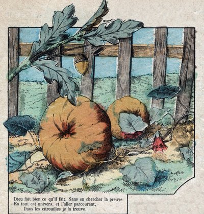 Meşe palamudu ve balkabağı. Jean de La Fontaine (1621-95) Masalları. 19. yüzyılın sonundan Epinal