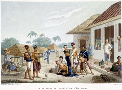 Timor adası Coupang