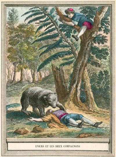 ayı ve iki arkadaşı by French School