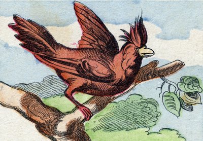 Kardinal. "Buffon Alphabet des Oiseaux n 2" de gravür. 3. Serie N 2. Epinal