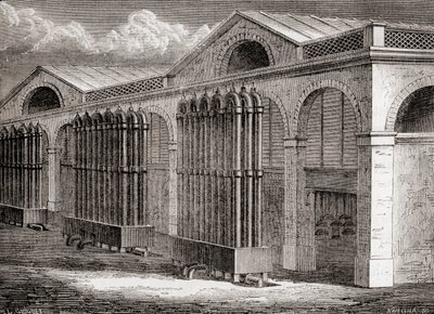 19. yüzyılda 