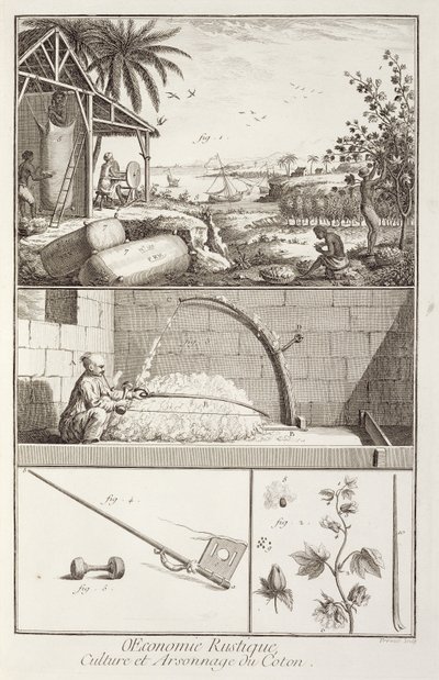 Pamuk ekimi, Ansiklopediden Denis Diderot (1713-84), A. Provost (fl.1834-55), c.1760 tarafından oyulmuş by French School
