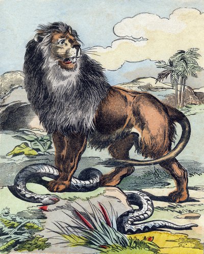 Aslan. "Buffon Alphabet des Animaux" gravürü. 3. Seri N 1. Epinal