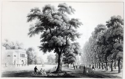 Prater