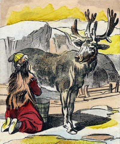Ren geyiği sağılıyor. "Buffon Alphabet des Animaux" gravürü. 3. Seri N 1. Epinal