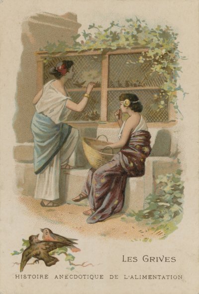 ardıçgiller by French School