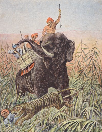 Kaplan avı, Hindistan (renkli lito) by French School