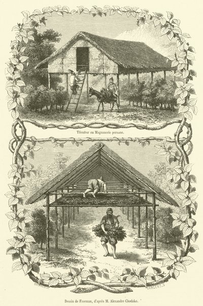 Tilembar ou Magnanerie persane (gravür) by French School