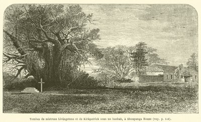 Shoupanga Evi