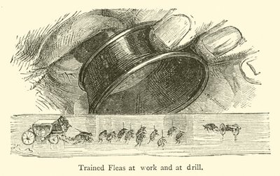 İş yerinde ve matkapta Eğitimli Pireler (gravür) by French School
