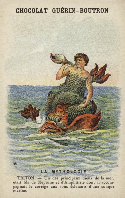 Triton by French School