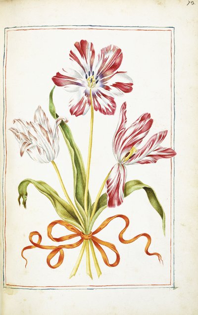 Laleler, 18. yüzyıl by French School