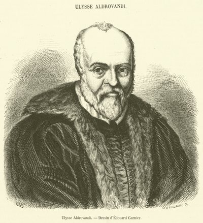 Ulysse Aldrovandi (gravür) by French School