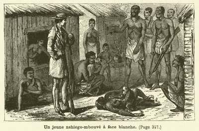 Beyaz yüzlü genç bir nshiego-mbouve (gravür) by French School