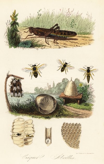 Bilinmeyen resim by French School