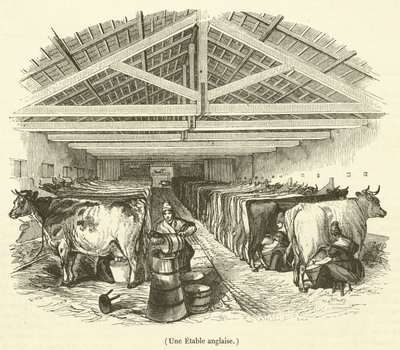 Bir İngiliz ahırı (gravür) by French School