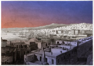 Cezayir manzarası. (gravür, yaklaşık 1850) by French School